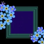 网上赌博软件:网赌软件排行 cgMJc9moGk